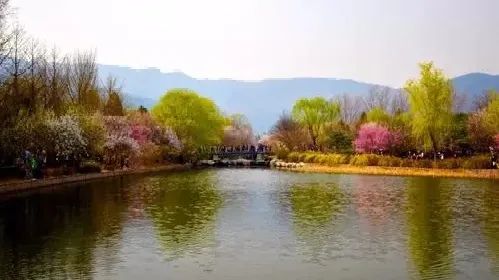 狮子座终究义无反顾,宁肯让自己遍体鳞伤-微信头条网 狮子座终究义无反顾,宁肯让自己遍体鳞伤