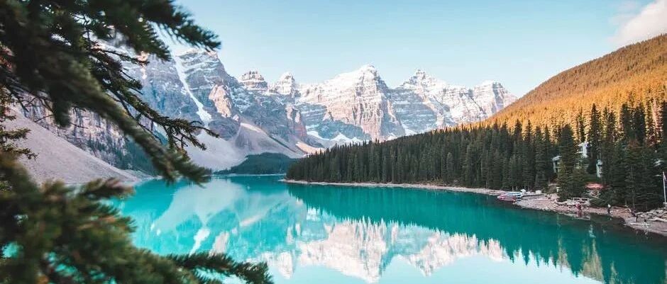 什么样的人才能收服傲娇的狮子座？