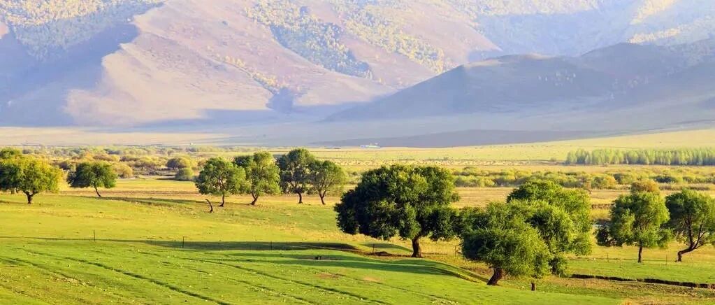 爱情和事业到底哪个更重要呢？