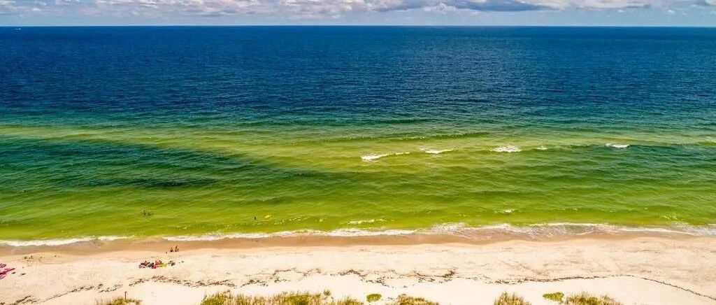 狮子座身份上这股惊艳你有看到了吗？