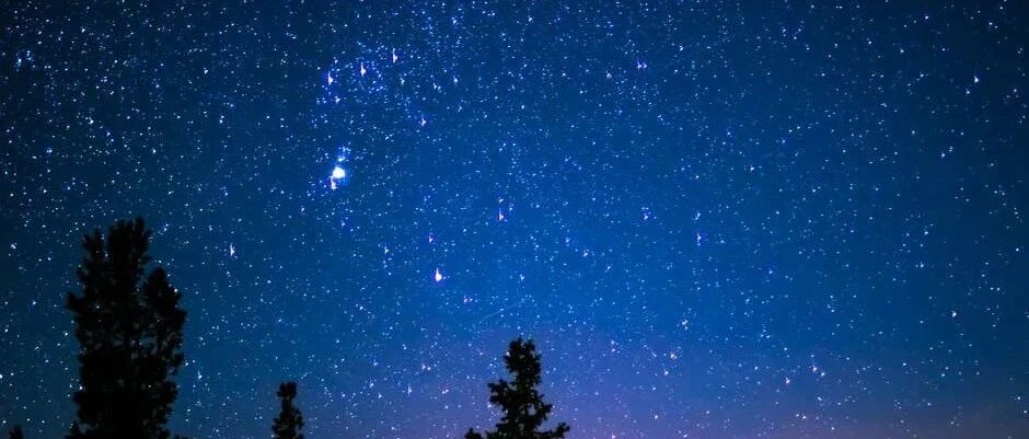 狮子座给你最好的爱是怎样的呢？