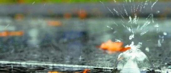 狮子座与天蝎座的故事