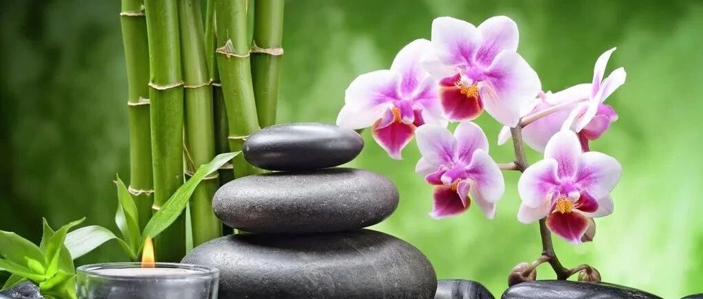 狮子座：人群中的佼佼者