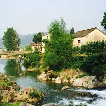 如果有一天狮子座遇到了真爱......