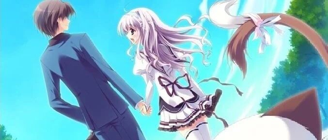 请不要伤害这样的狮子座