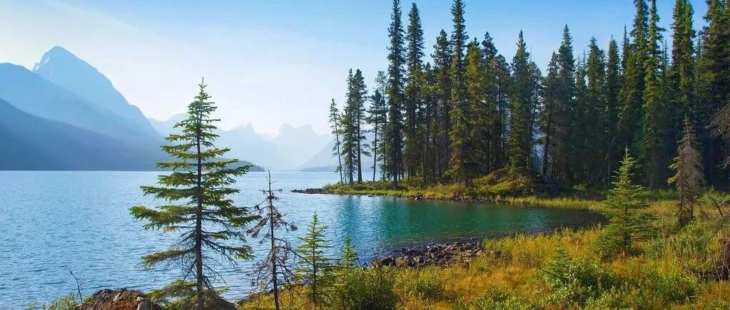 追求狮子座，往往有哪些方法？