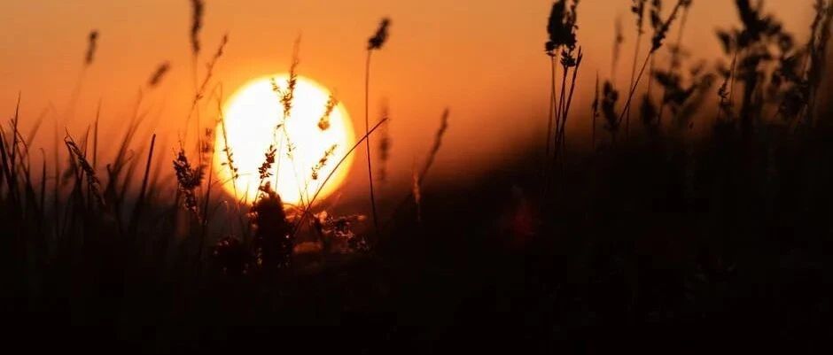 该如何理解狮子座的这股高傲呢？