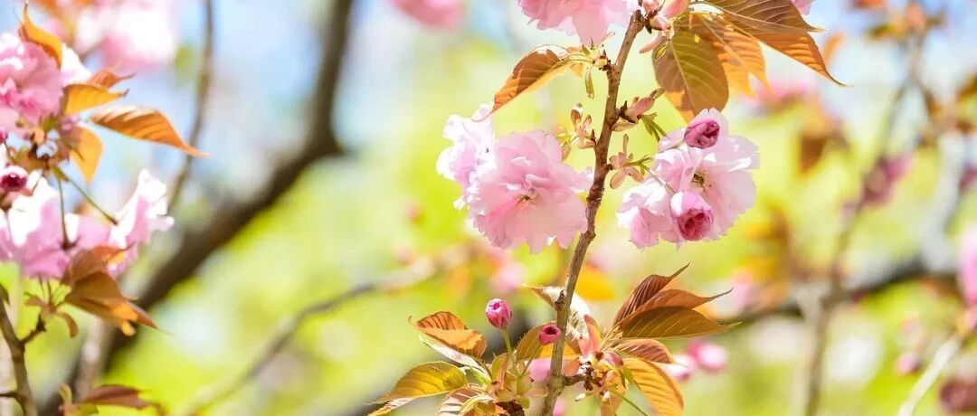 狮子座对于安全感的要求高吗？