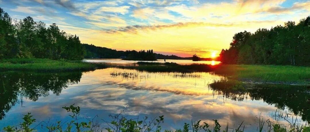 如何留住狮子座的心呢？