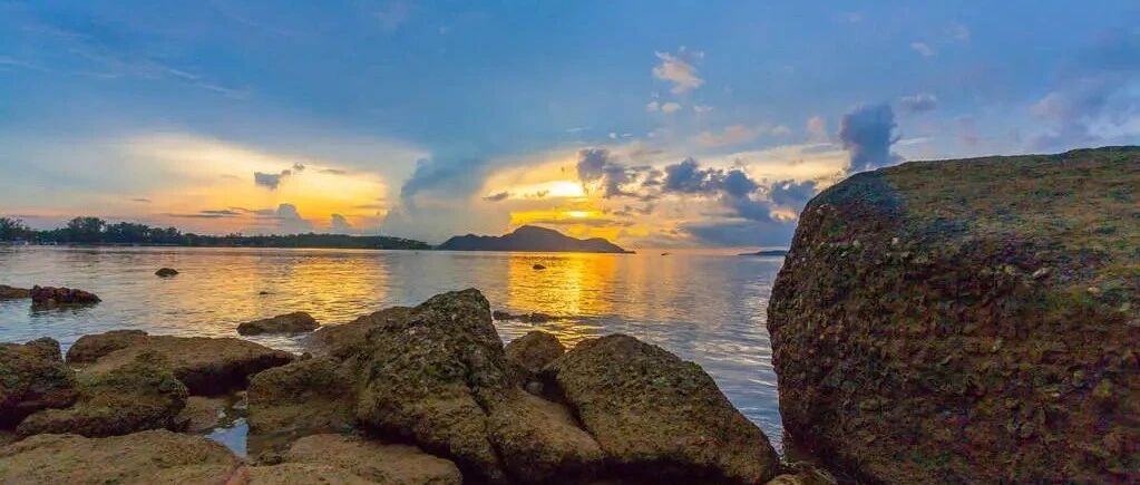 狮子座对爱情和婚姻的要求是相当高的？