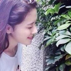 这是一个关于狮子座和摩羯座的故事