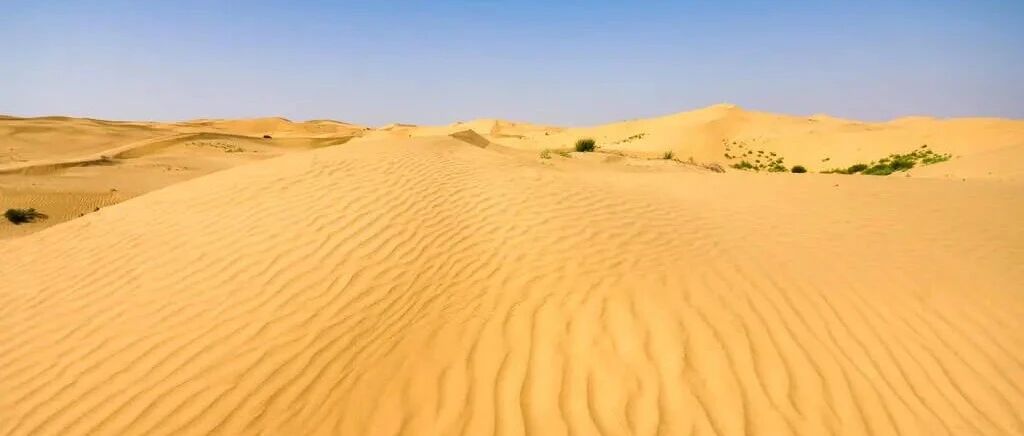 狮子座会把自己心中的爱表现出来吗？