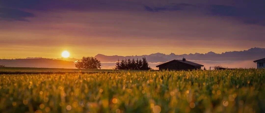 狮子座男生敷衍你的时候有什么表现？