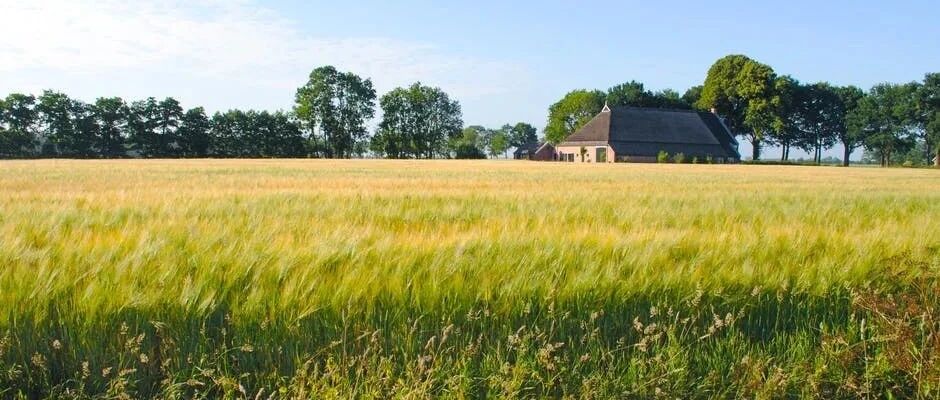 狮子座打嘴仗都会赢吗？