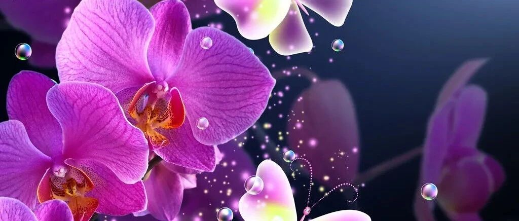 狮子座只忠于自己的内心世界