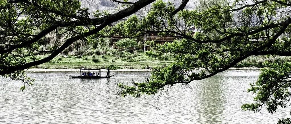 为什么说狮子座这一生容易取得成就？