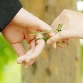 你会心疼这样的狮子座吗？