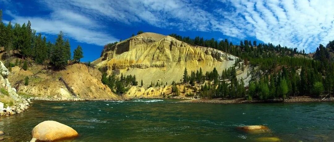 你在狮子座的身上，有看到其奴性吗？