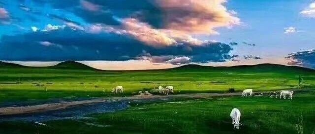 狮子座最讨厌的就是别人对自己的怜悯