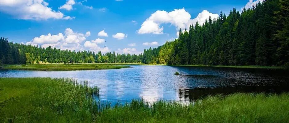 该如何与狮子座好好相处呢？