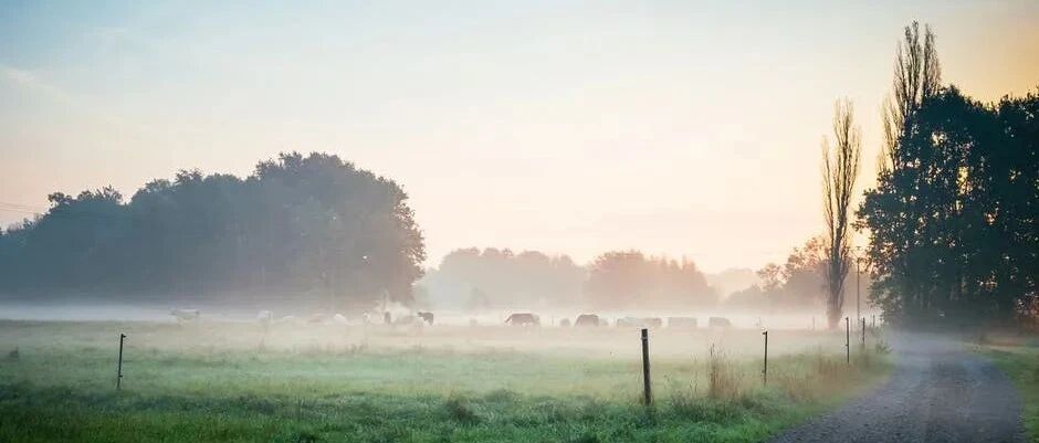 狮子座说喜欢就是爱，喜欢与爱没有区别吗？