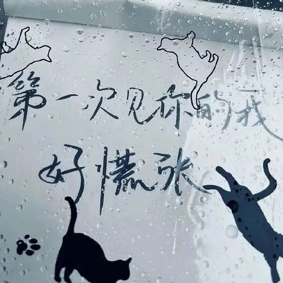 适合发生活碎片的小众文案