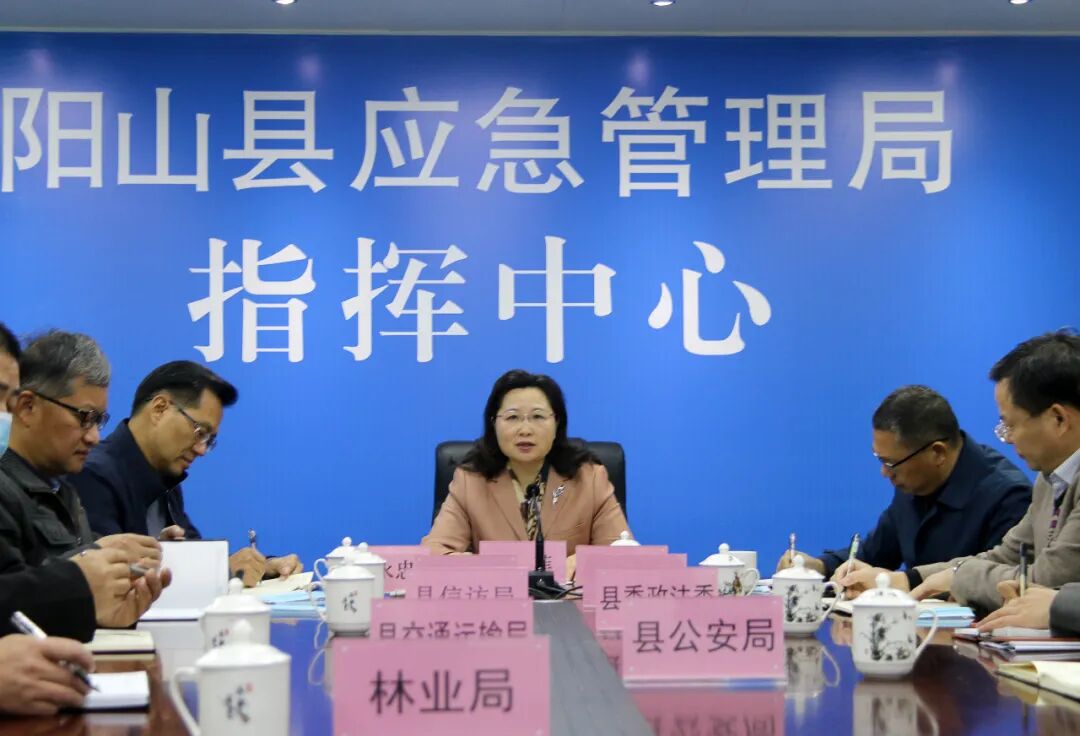 县委书记邓菲视频连线各乡镇坚定信心汇聚合力再接再厉推动各项工作再