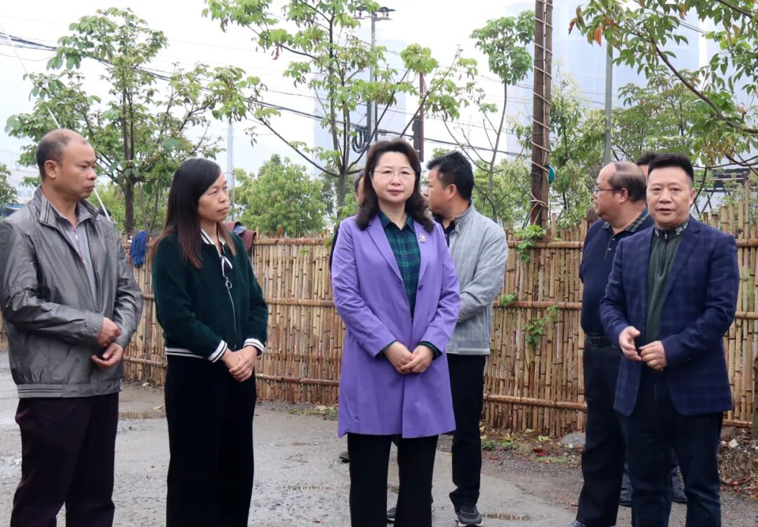 县委书记邓菲现场办公督导不折不扣落实大棚房整改工作