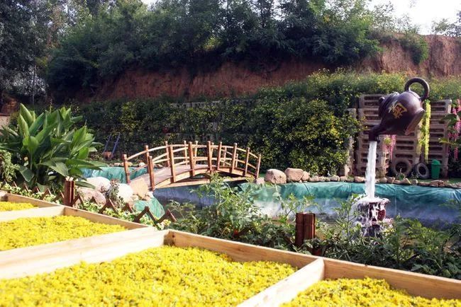 东篱采菊风卷衣_九张机东篱采菊_采菊东篱悠然见南山是谁写的