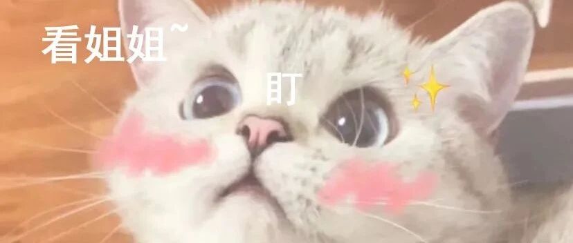 这猫猫好像知道自己很好看