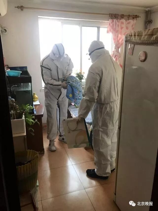 吓惨！女子家中深夜飞进蝙蝠！趴地板又撞门，还咬了一口…（组图） - 3