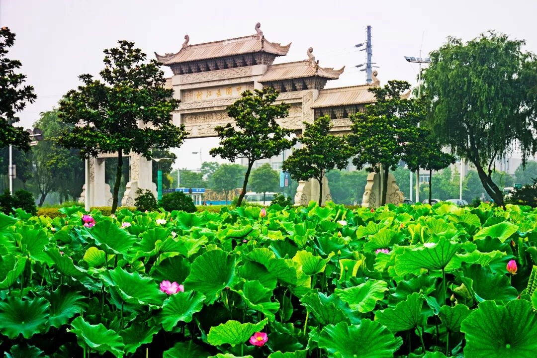 追江赶海领潮争先 临港小渔村的大梦想