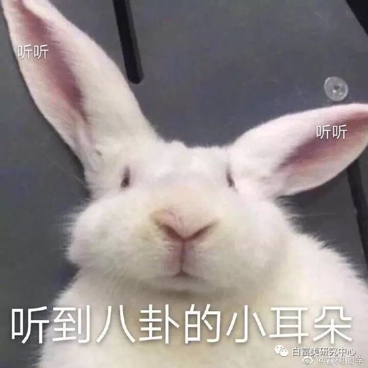 1月300万零花钱的白富美 “翻车”后人人喊打（组图） - 9