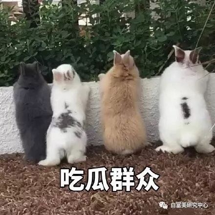 1月300万零花钱的白富美 “翻车”后人人喊打（组图） - 48