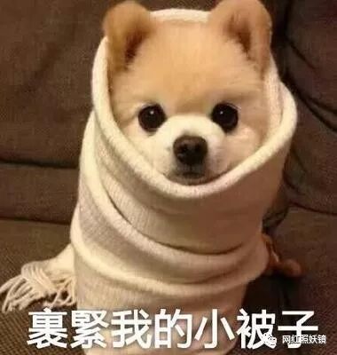 25岁美军空降兵成全网最硬核美少女，大胸细腰好身材让人羡慕哭！（组图） - 31