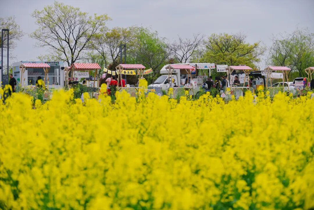 田野3 周末集市3.JPG