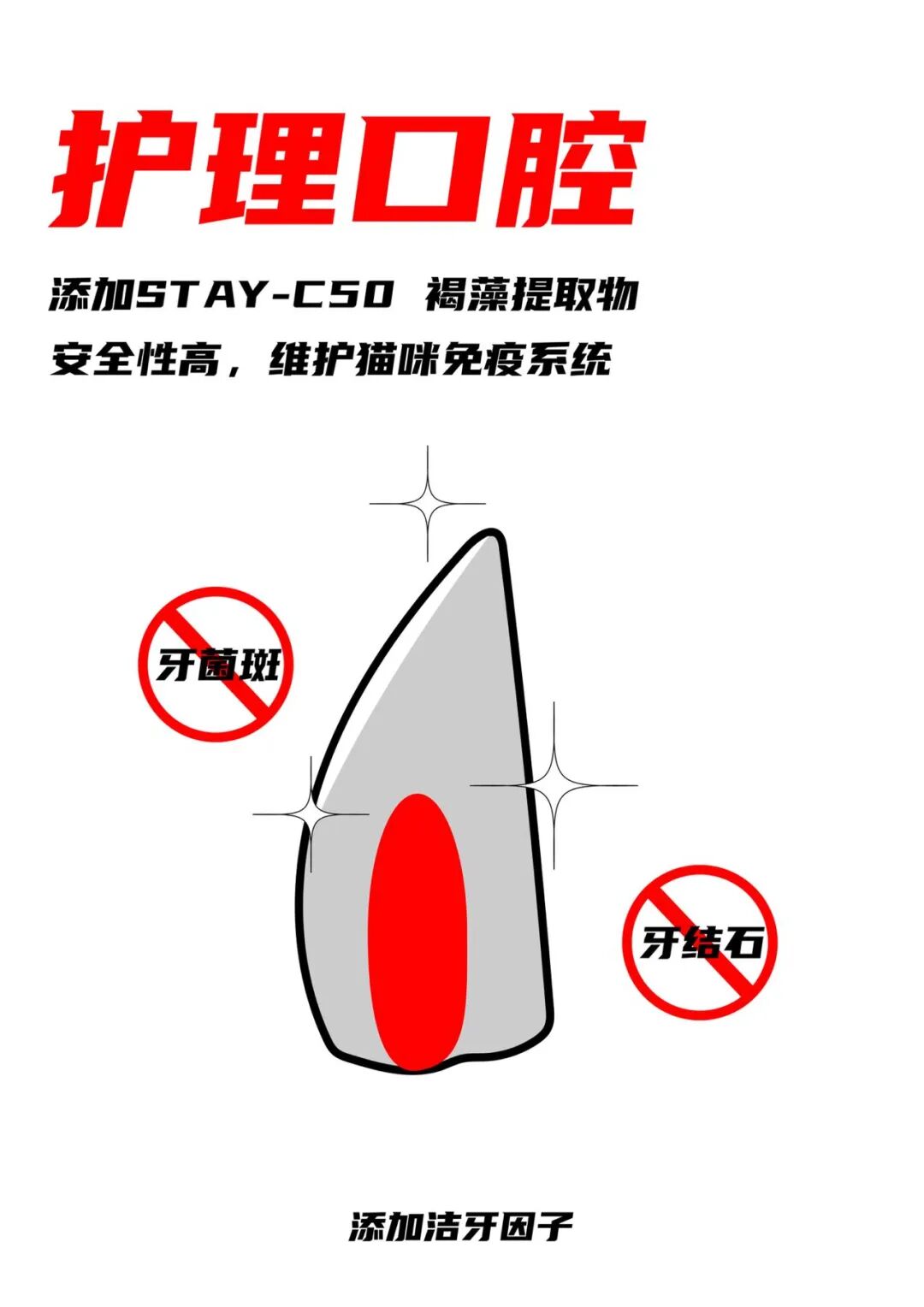 麦贝宠全价全期低温烘焙猫粮上市