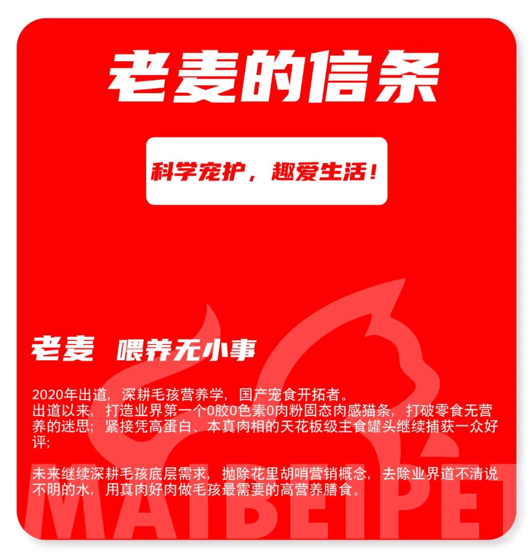 麦贝宠全价全期低温烘焙猫粮上市