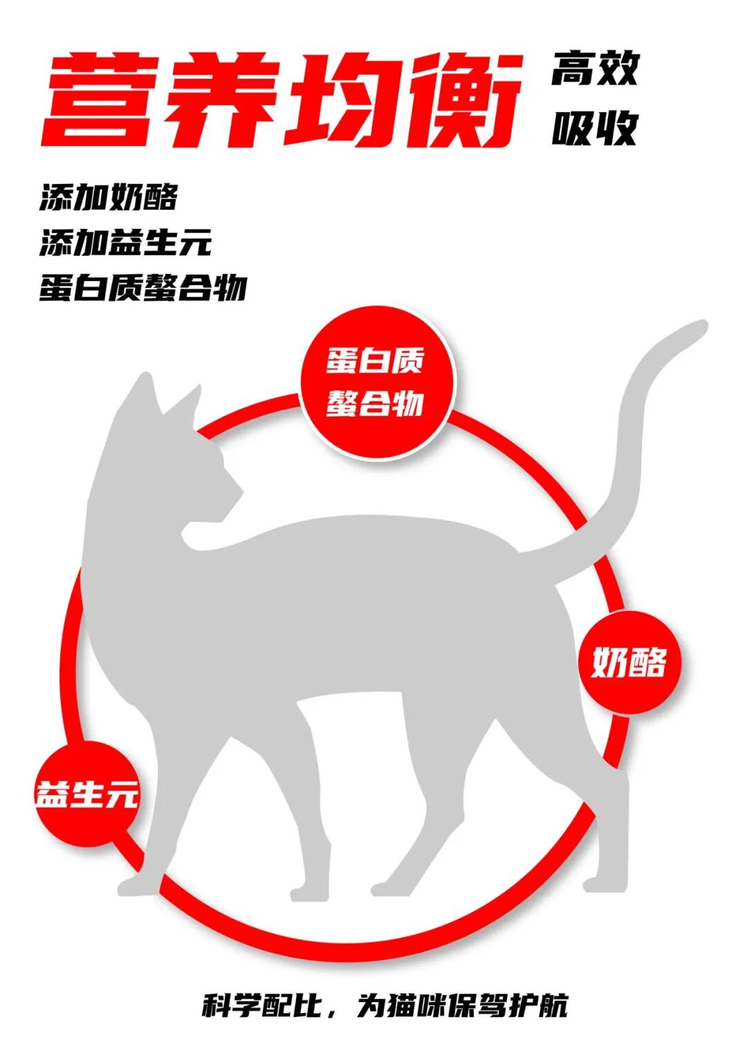 麦贝宠全价全期低温烘焙猫粮上市