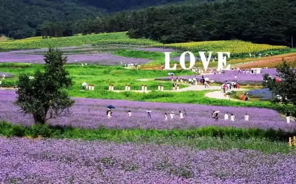 約起！山川、河流、大峽谷……這張卡不限次不限時，N個景區盡情玩！ 旅遊 第12張