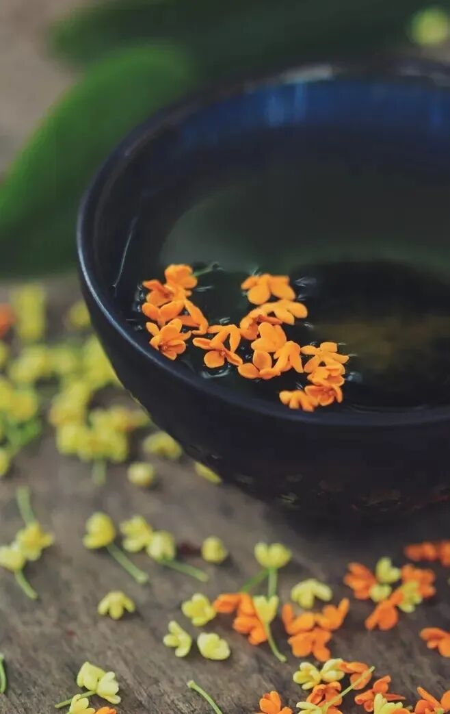 秋花更比春花炫 国学精粹与生活艺术 微信公众号文章 微小领