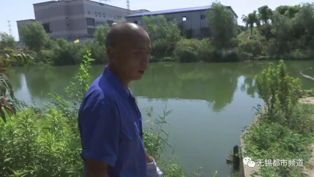 无锡纺城大道旁商铺一女子昨早坠入河中