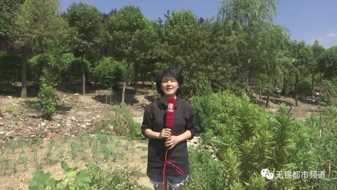 无锡纺城大道旁商铺一女子昨早坠入河中