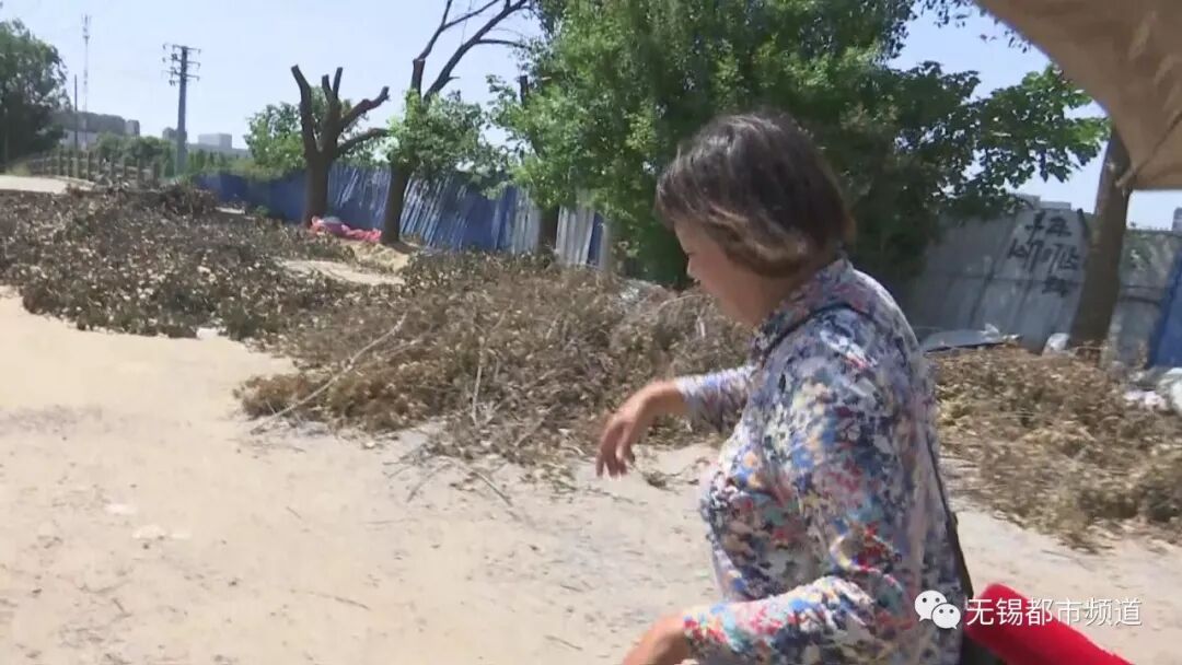 无锡纺城大道旁商铺一女子昨早坠入河中