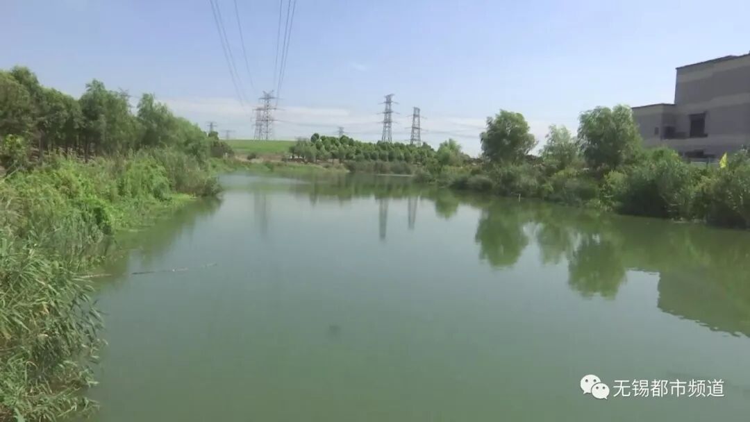 无锡纺城大道旁商铺一女子昨早坠入河中