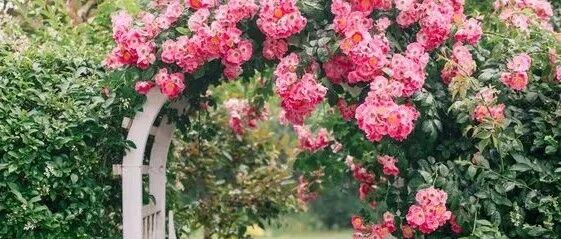 一处院门，美了整个院子。