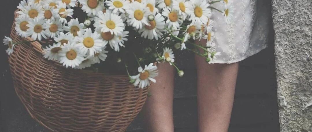 搬7次家，两人两狗改造帝都80平出租屋，过成人们羡慕的生活