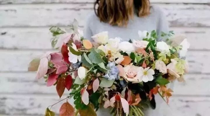 别再养绿萝啦，这些植物比绿萝更健康、更漂亮~！