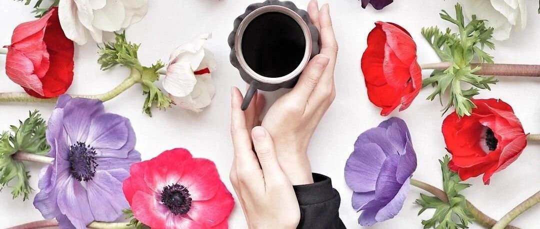 过年，家里摆什么花不俗气？