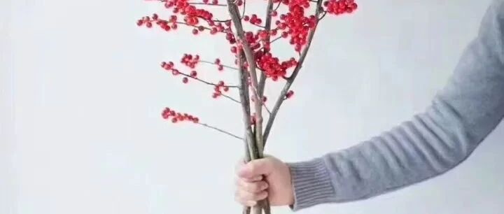 冬天去花店买什么花？